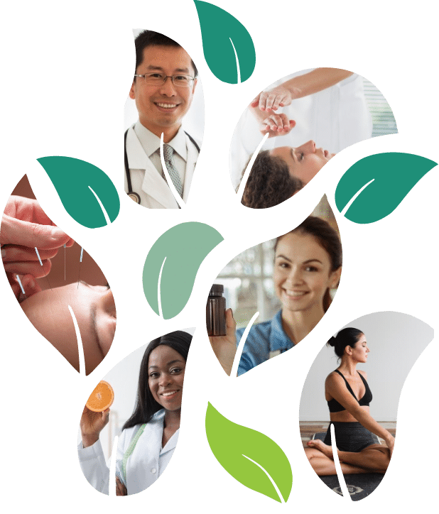 Group of leaves, some with solid green color, others with images of professionals from doctor, acupuncture, female doctor, yoga instructor, herbalist, reki